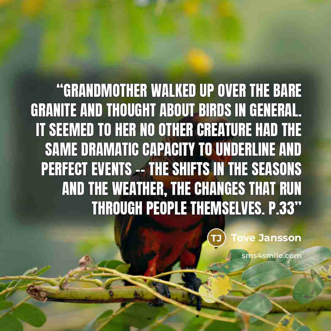 “Grandmother walked up over the bare granite and thought about birds in general. It seemed to her no other creature had the same dramatic capacity to underline and perfect events -- the shifts in the seasons and the weather, the changes that run through people themselves. p.33” quote by Tove Jansson