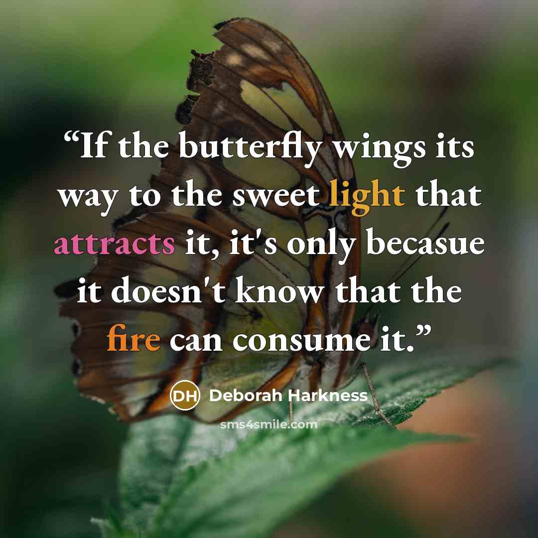 “If the butterfly wings its way to the sweet light that attracts it, it's only becasue it doesn't know that the fire can consume it.” quote by Deborah Harkness