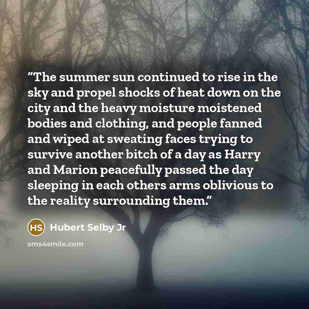 “The summer sun continued to rise in the sky and propel shocks of heat down on the city and the heavy moisture moistened bodies and clothing, and people fanned and wiped at sweating faces trying to survive another bitch of a day as Harry and Marion peacefully passed the day sleeping in each others…” quote by Hubert Selby Jr