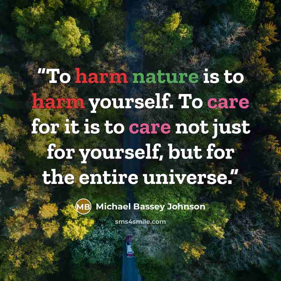 “To harm nature is to harm yourself. To care for it is to care not just for yourself, but for the entire universe.” quote by Michael Bassey Johnson