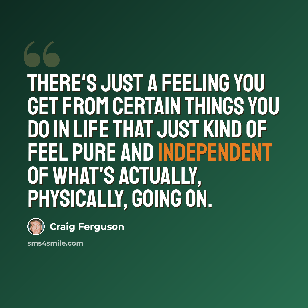 “There's just a feeling you get from certain things you do in life that just kind of feel pure and independent of what's actually, physically, going on.” quote by Craig Ferguson