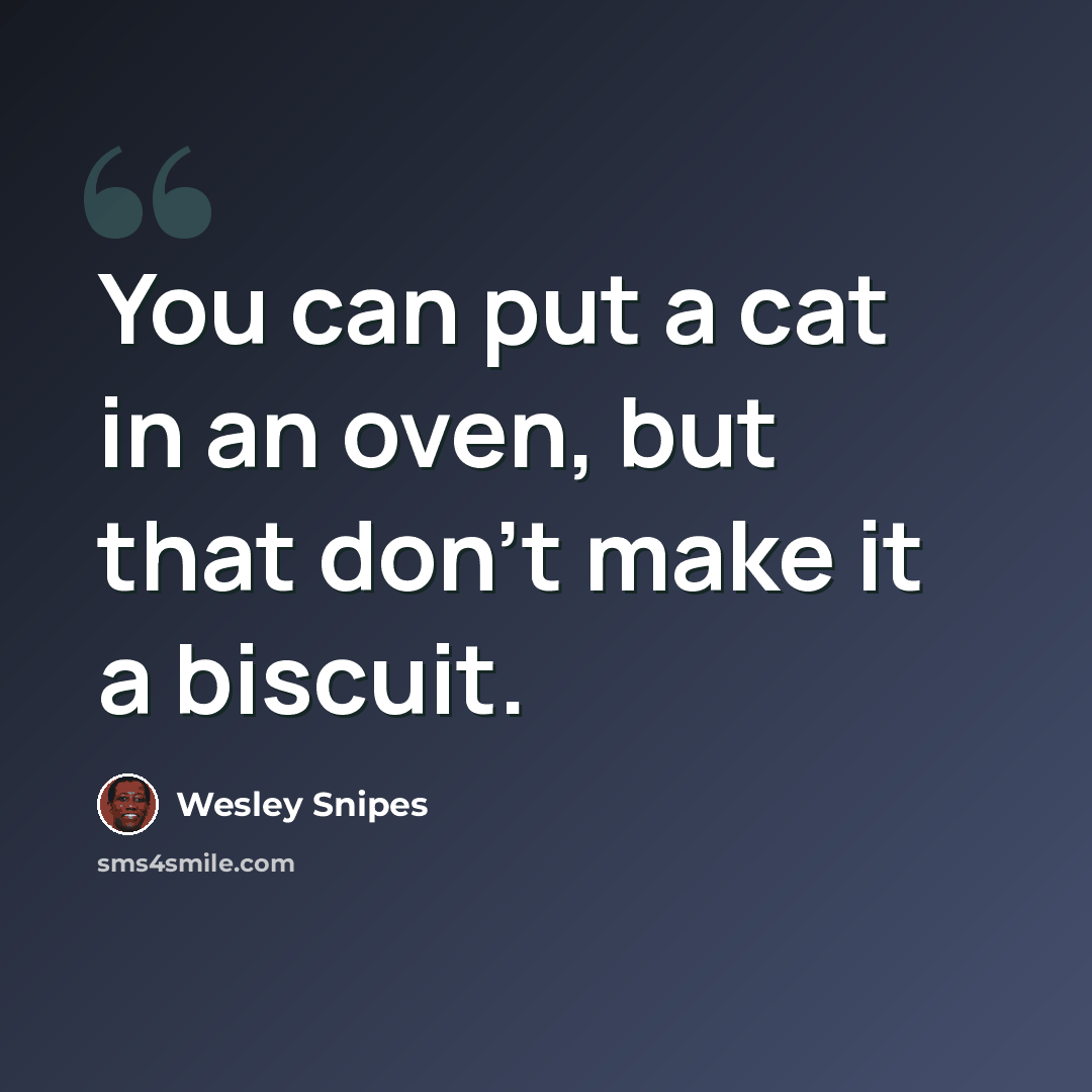 “You can put a cat in an oven, but that don't make it a biscuit.” quote by Wesley Snipes