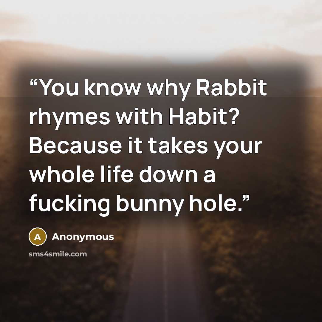 “You know why Rabbit rhymes with Habit? Because it takes your whole life down a fucking bunny hole.” quote by Anonymous