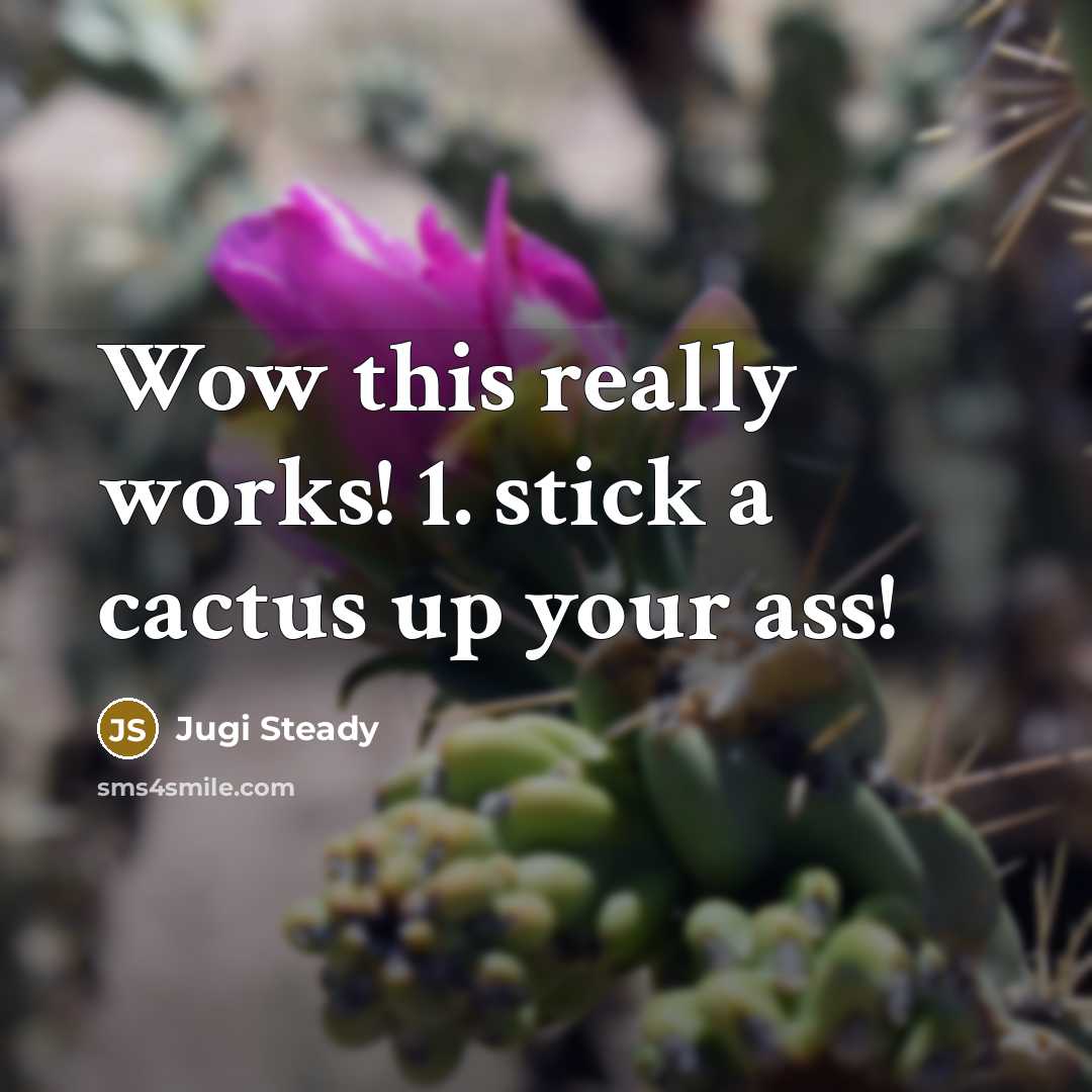 “Wow this really works! 1. stick a cactus up your ass!” quote by Jugi Steady