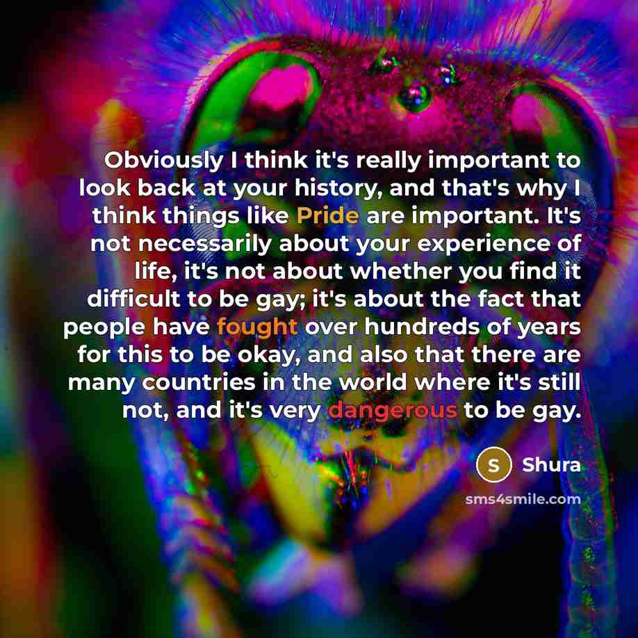 “Obviously I think it's really important to look back at your history, and that's why I think things like Pride are important. It's not necessarily about your experience of life, it's not about whether you find it difficult to be gay; it's about the fact that people have fought over hundreds of…” quote by Shura