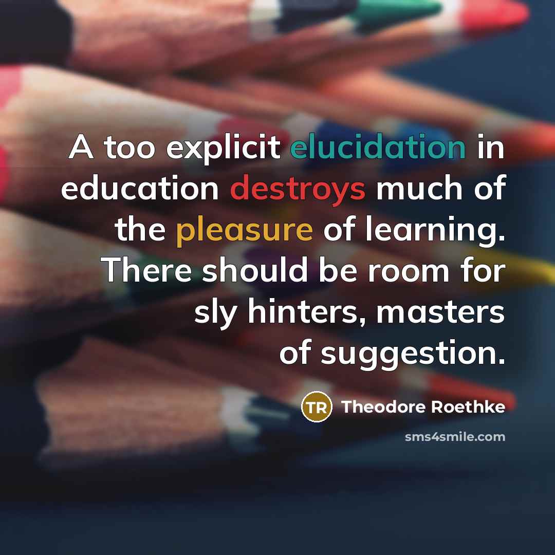 “A too explicit elucidation in education destroys much of the pleasure of learning. There should be room for sly hinters, masters of suggestion.” quote by Theodore Roethke