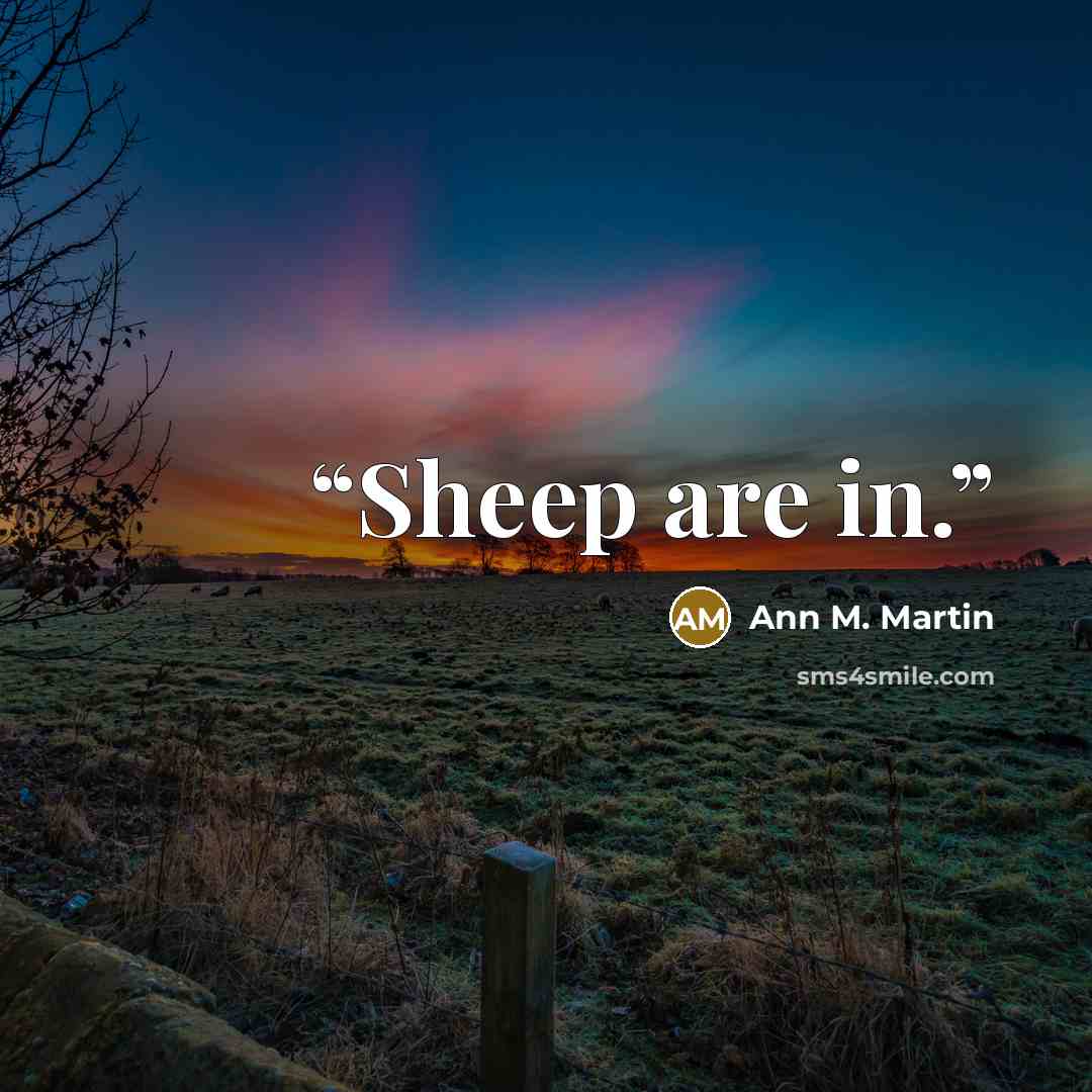 “Sheep are in.” quote by Ann M. Martin