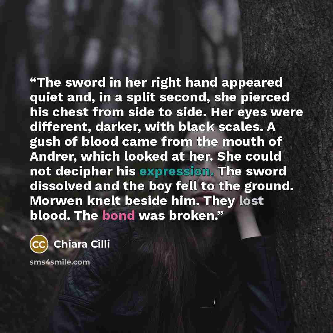 “The sword in her right hand appeared quiet and, in a split second, she pierced his chest from side to side. Her eyes were different, darker, with black scales. A gush of blood came from the mouth of Andrer, which looked at her. She could not decipher his expression. The sword dissolved and the boy…” quote by Chiara Cilli