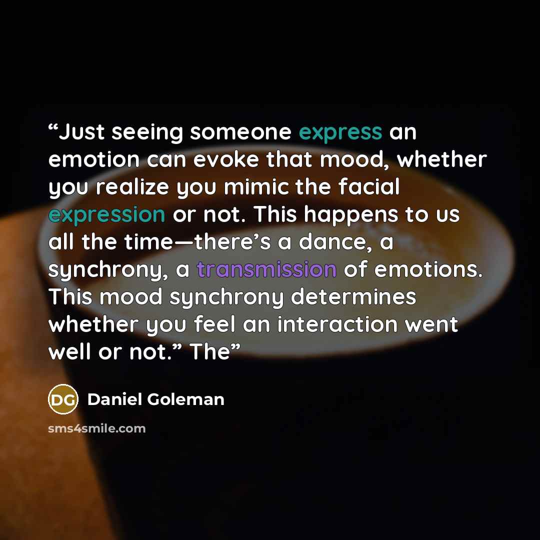 “Just seeing someone express an emotion can evoke that mood, whether you realize you mimic the facial expression or not. This happens to us all the time—there’s a dance, a synchrony, a transmission of emotions. This mood synchrony determines whether you feel an interaction went well or not.” The” quote by Daniel Goleman