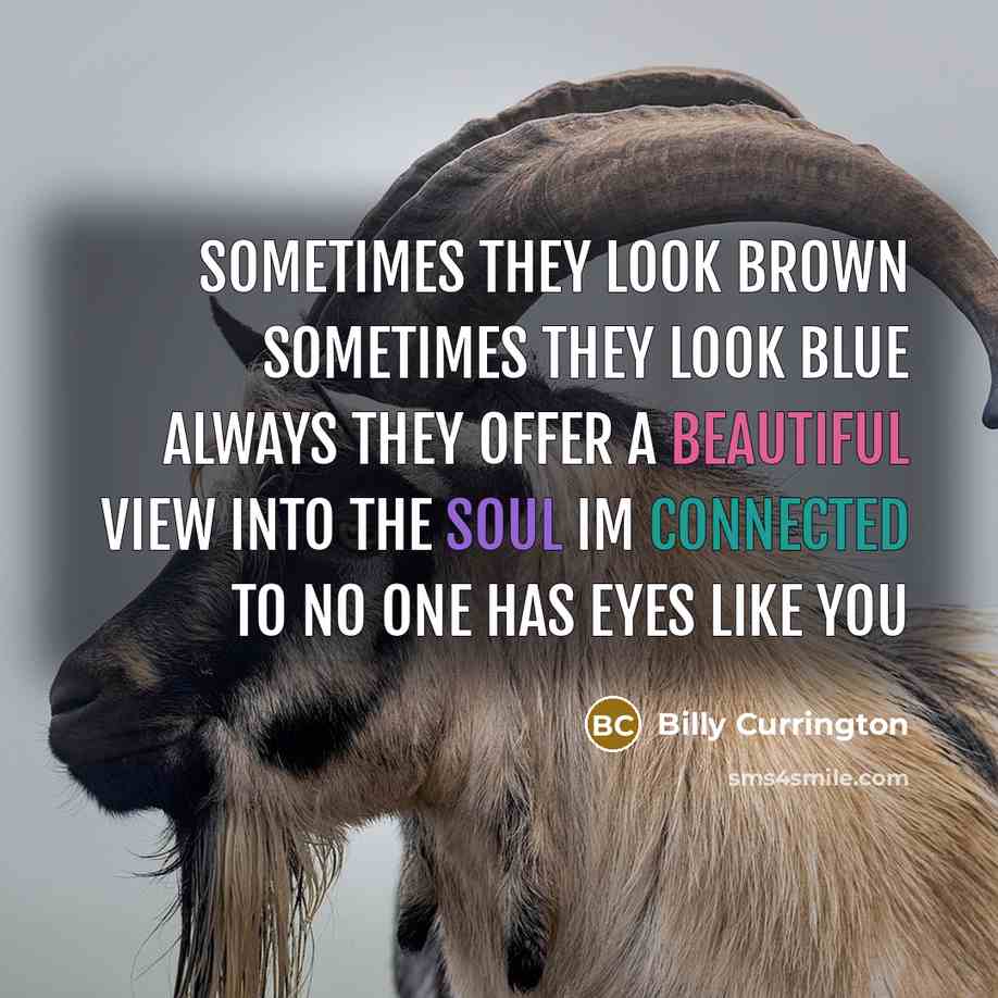 “Sometimes they look brown Sometimes they look blue Always they offer a beautiful view Into the soul Im connected to No one has eyes like you” quote by Billy Currington
