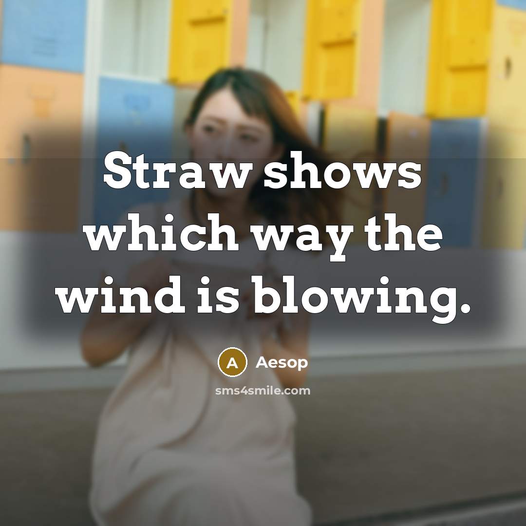 “Straw shows which way the wind is blowing.” quote by Aesop