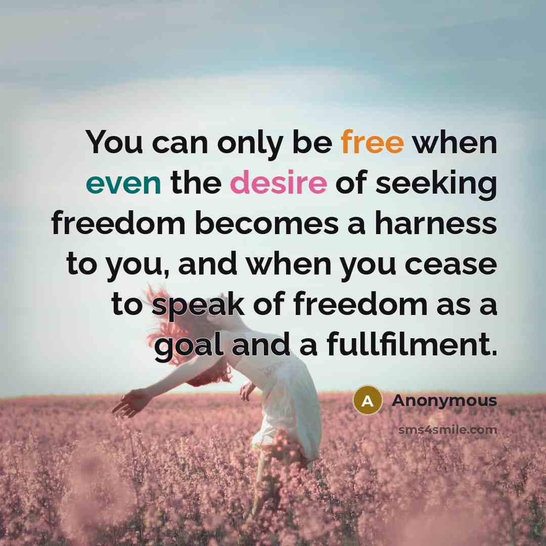 “You can only be free when even the desire of seeking freedom becomes a harness to you, and when you cease to speak of freedom as a goal and a fullfilment.” quote by Anonymous