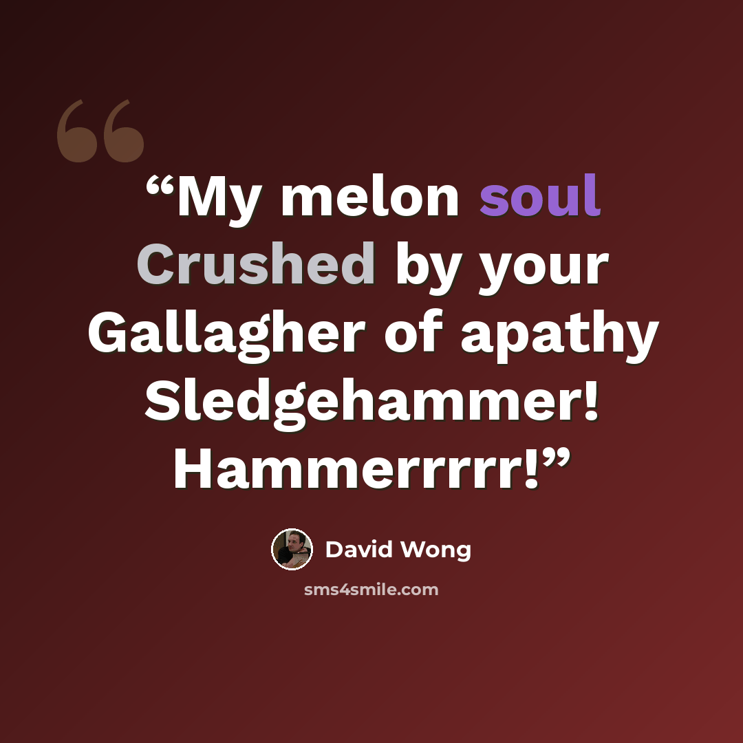 “My melon soul Crushed by your Gallagher of apathy Sledgehammer! Hammerrrrr!” quote by David Wong