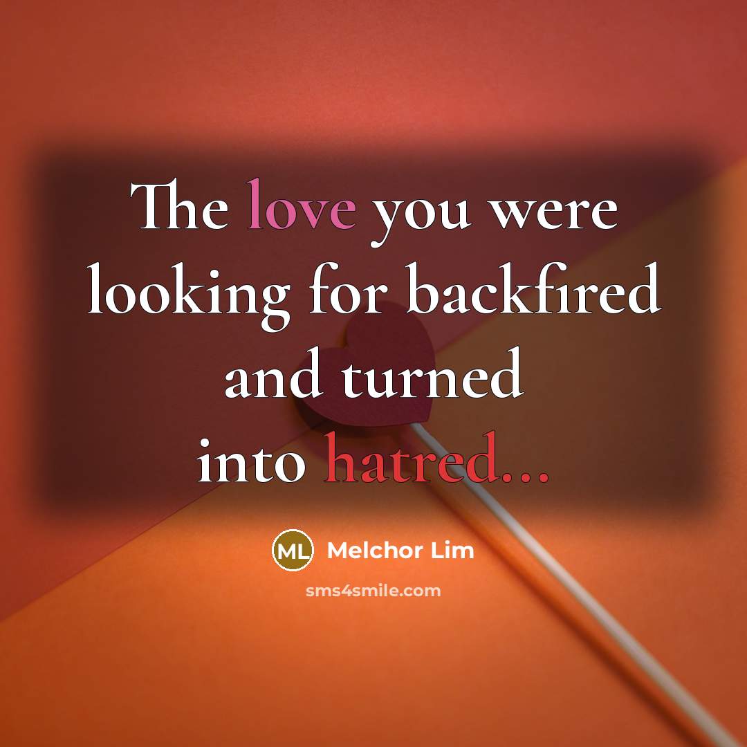 “The love you were looking for backfired and turned into hatred...” quote by Melchor Lim