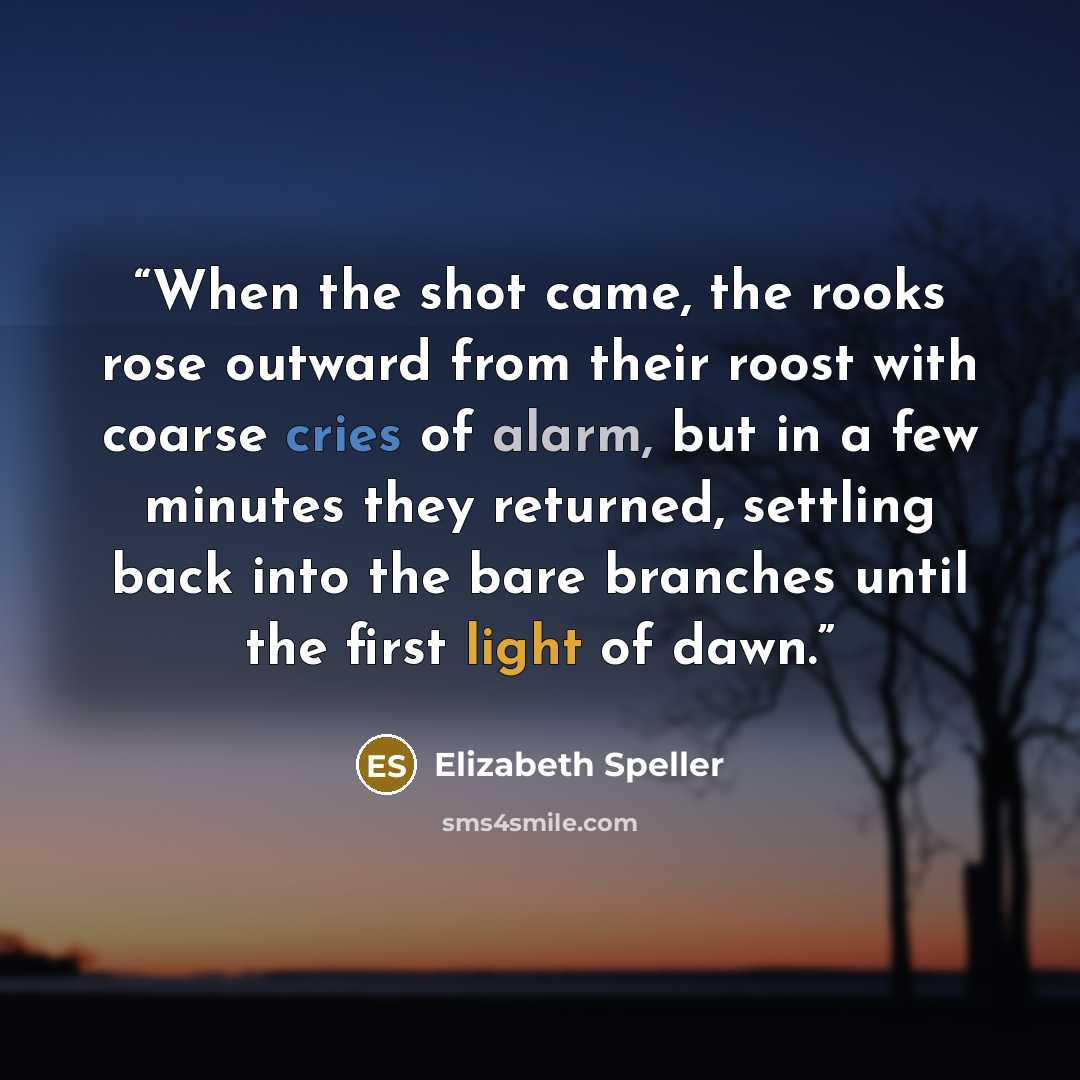 “When the shot came, the rooks rose outward from their roost with coarse cries of alarm, but in a few minutes they returned, settling back into the bare branches until the first light of dawn.” quote by Elizabeth Speller