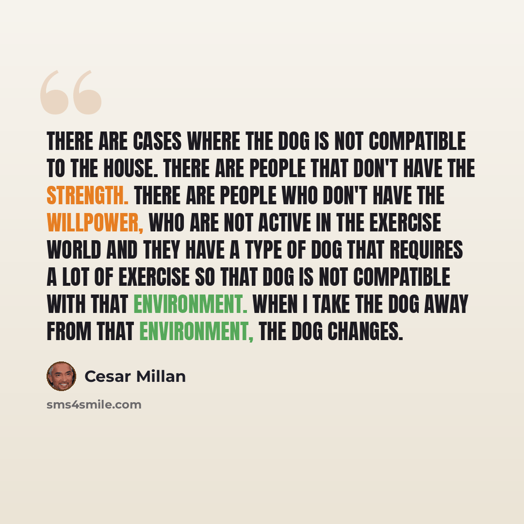 “There are cases where the dog is not compatible to the house. There are people that don't have the strength. There are people who don't have the willpower, who are not active in the exercise world and they have a type of dog that requires a lot of exercise so that dog is not compatible with that…” quote by Cesar Millan