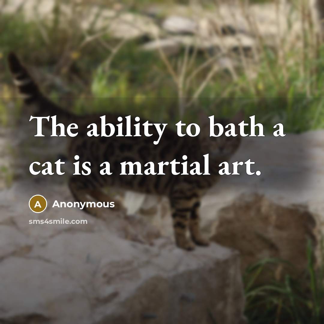 “The ability to bath a cat is a martial art.” quote by Anonymous