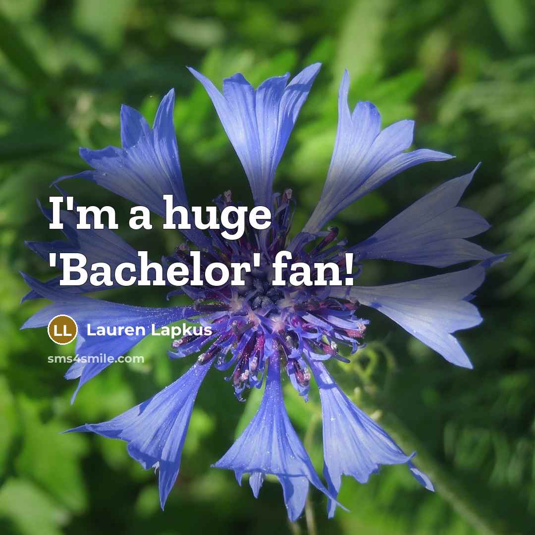 “I'm a huge 'Bachelor' fan!” quote by Lauren Lapkus
