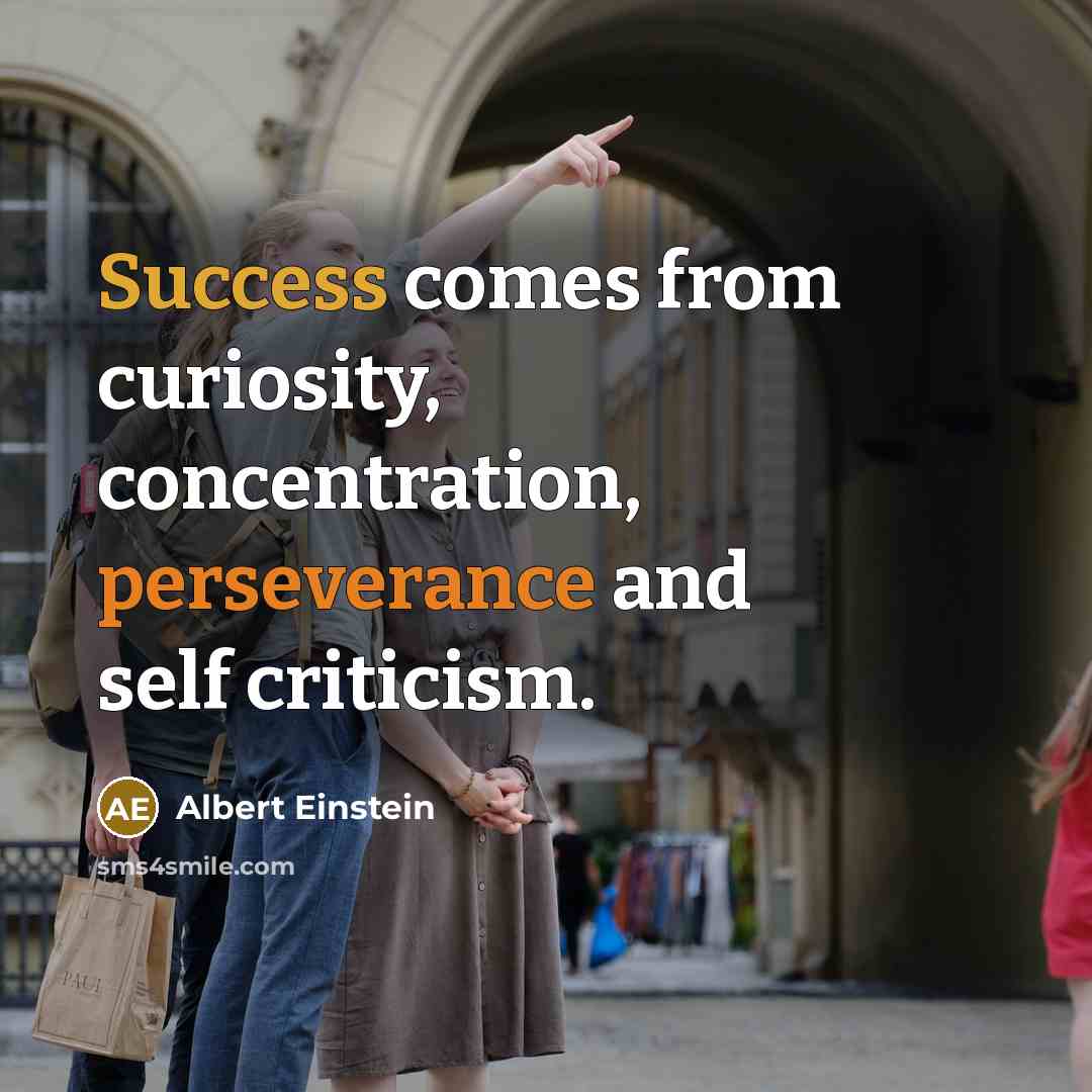 “Success comes from curiosity, concentration, perseverance and self criticism.” quote by Albert Einstein