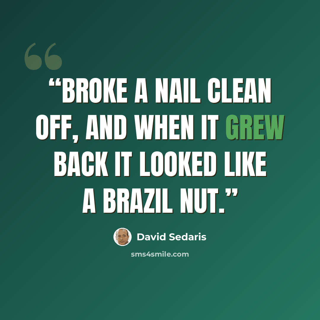 “Broke a nail clean off, and when it grew back it looked like a Brazil nut.” quote by David Sedaris