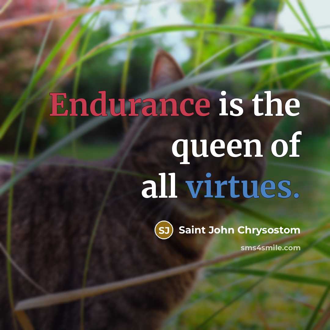 “Endurance is the queen of all virtues.” quote by Saint John Chrysostom