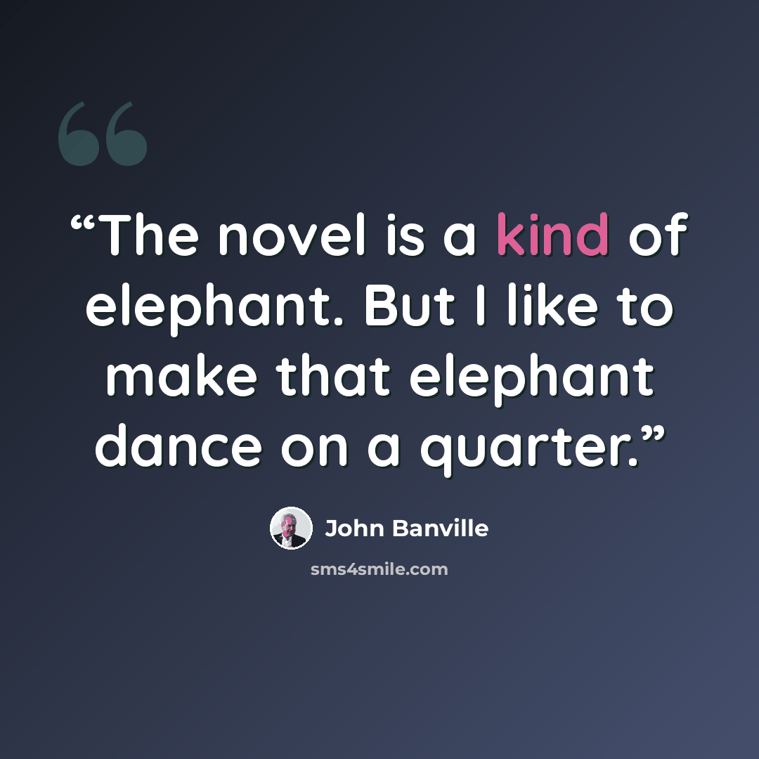 “The novel is a kind of elephant. But I like to make that elephant dance on a quarter.” quote by John Banville
