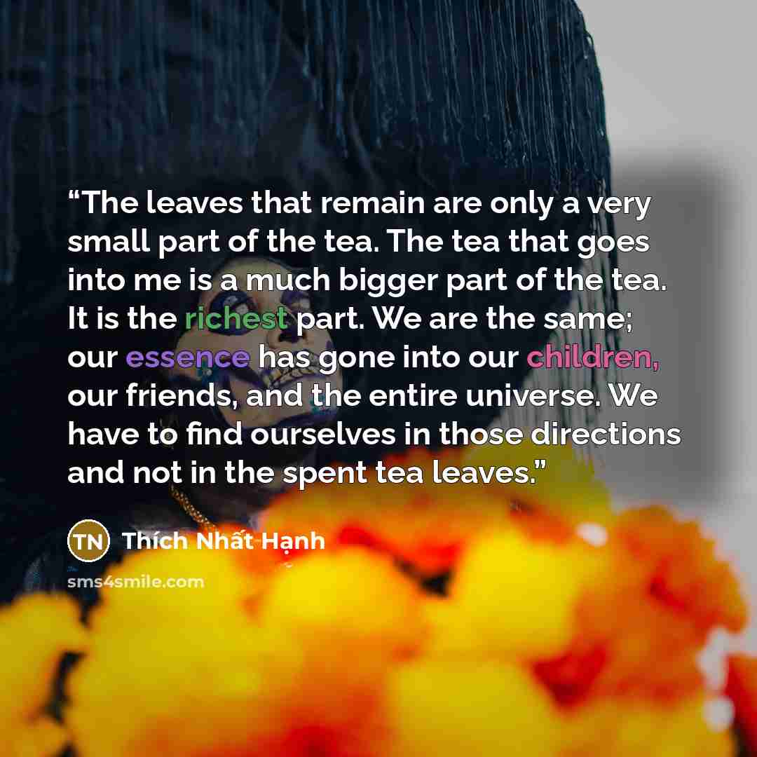 “The leaves that remain are only a very small part of the tea. The tea that goes into me is a much bigger part of the tea. It is the richest part. We are the same; our essence has gone into our children, our friends, and the entire universe. We have to find ourselves in those directions and not in…” quote by Thich Nhat Hanh