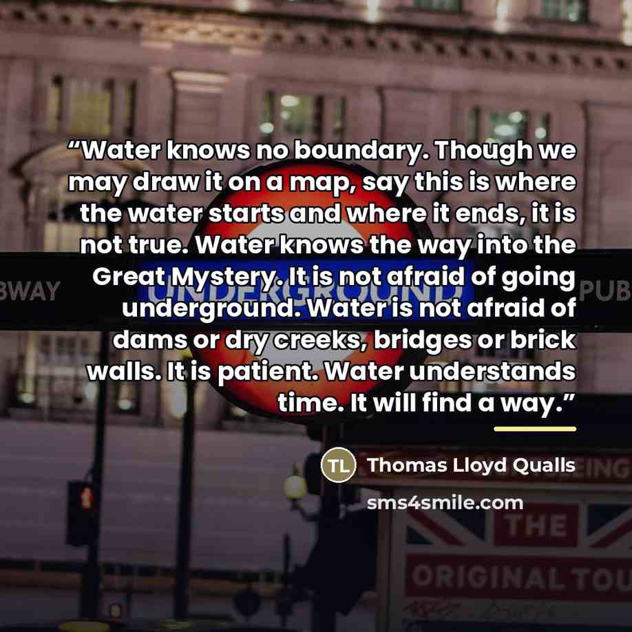 “Water knows no boundary. Though we may draw it on a map, say this is where the water starts and where it ends, it is not true. Water knows the way into the Great Mystery. It is not afraid of going underground. Water is not afraid of dams or dry creeks, bridges or brick walls. It is patient. Water…” quote by Thomas Lloyd Qualls