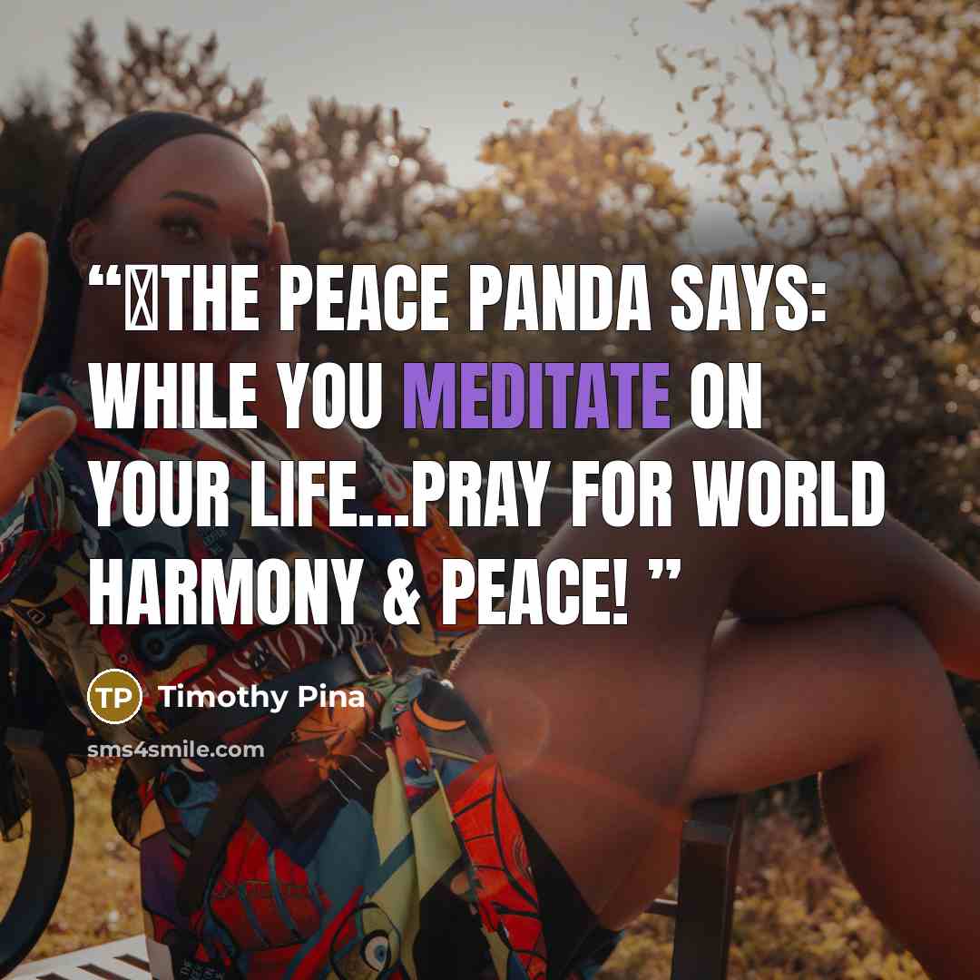 “✌The Peace Panda Says: While you meditate on your life...pray for world harmony & peace!” quote by Timothy Pina