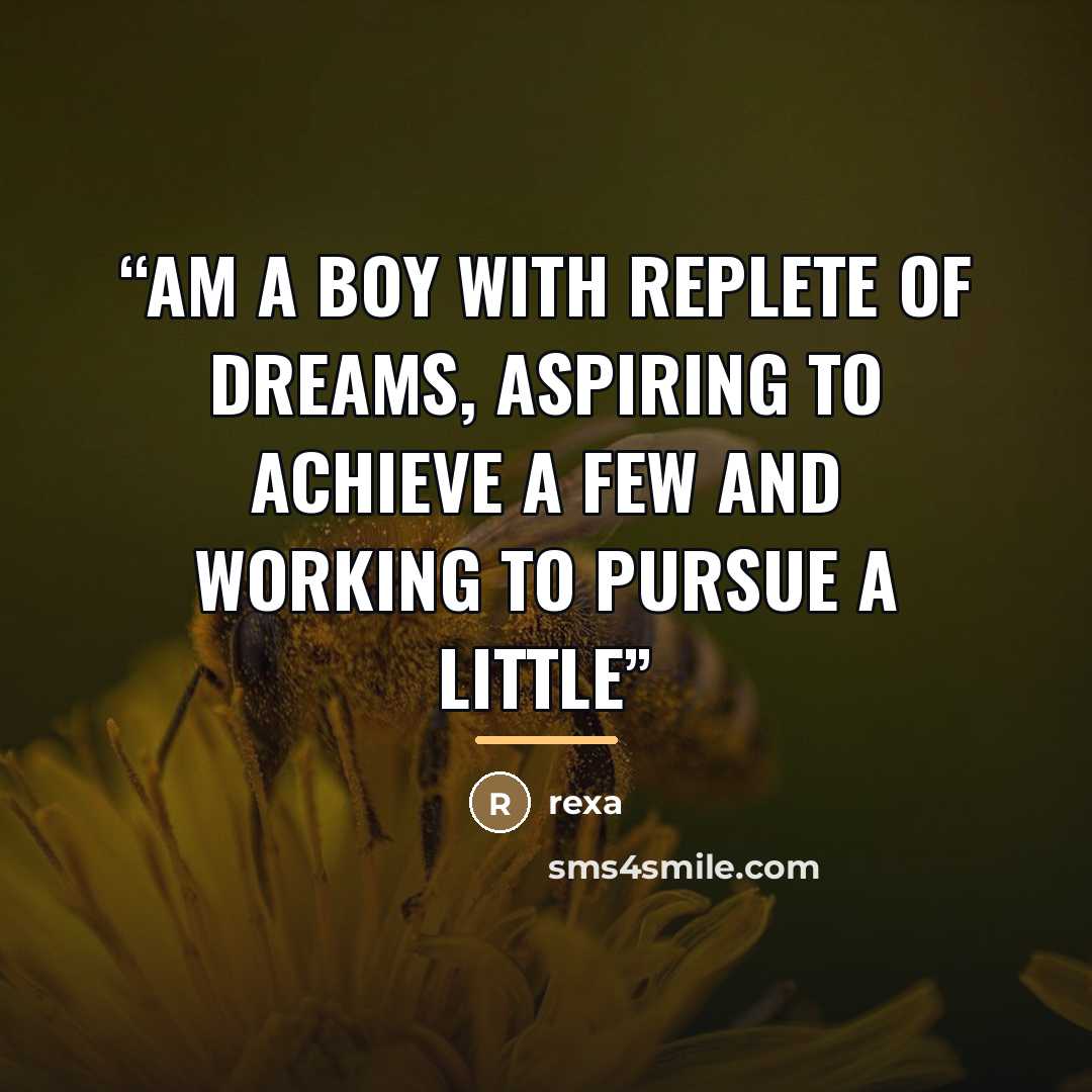 “am a boy with replete of dreams, aspiring to achieve a few and working to pursue a little” quote by Rexa