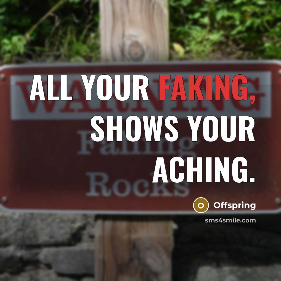 “All your faking, shows your aching.” quote by Offspring
