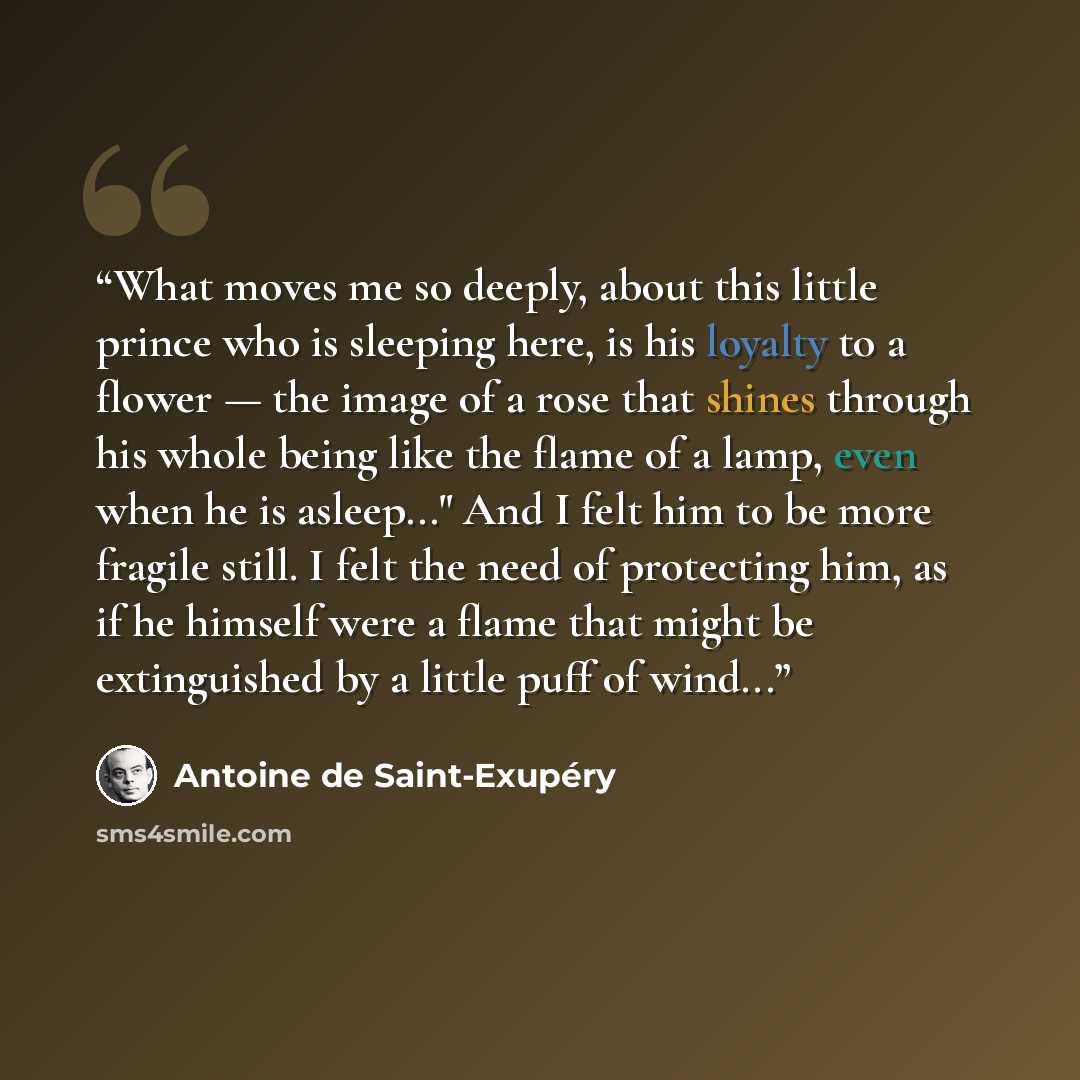 “What moves me so deeply, about this little prince who is sleeping here, is his loyalty to a flower — the image of a rose that shines through his whole being like the flame of a lamp, even when he is asleep..." And I felt him to be more fragile still. I felt the need of protecting him, as if he…” quote by Antoine de Saint-Exupéry