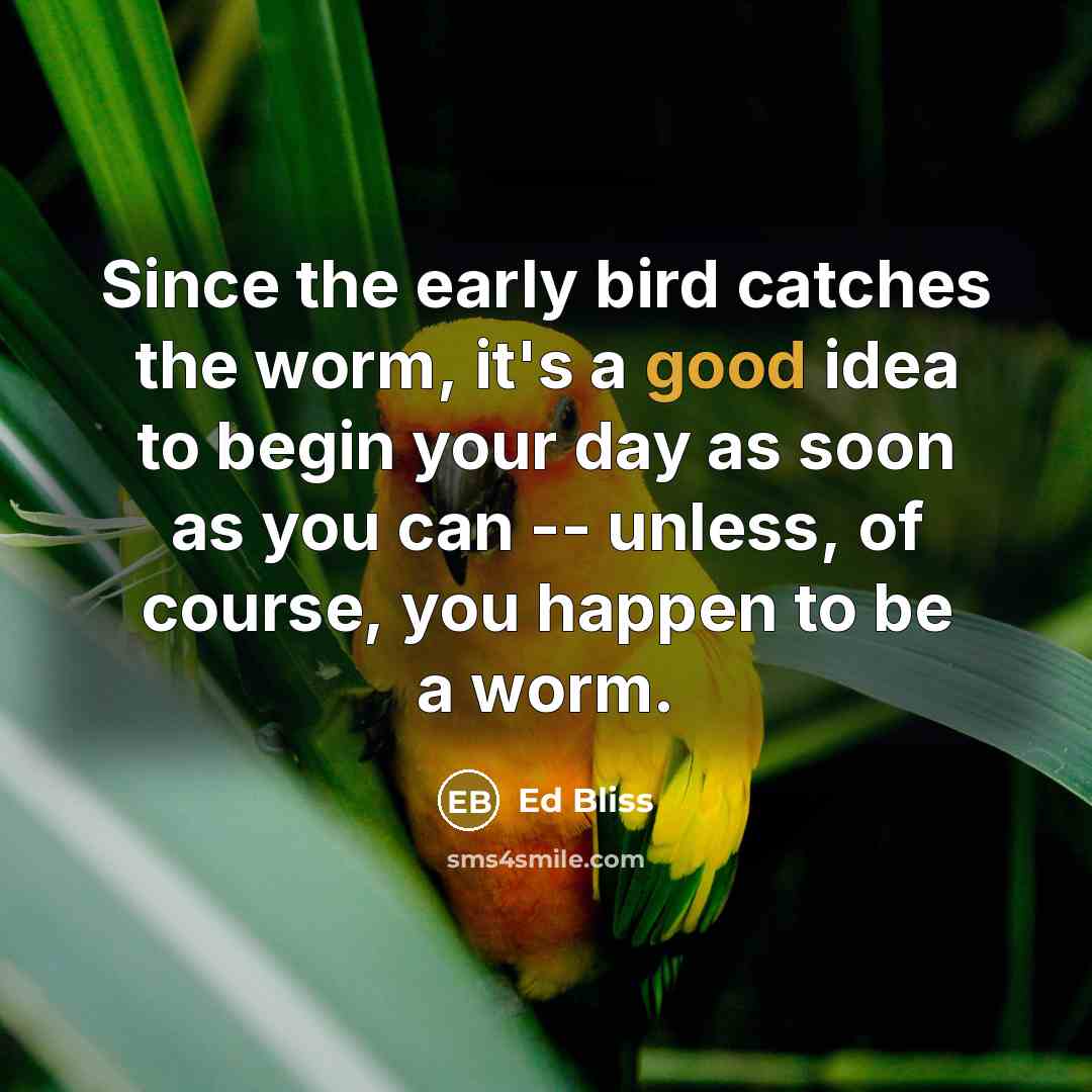 “Since the early bird catches the worm, it's a good idea to begin your day as soon as you can -- unless, of course, you happen to be a worm.” quote by Ed Bliss