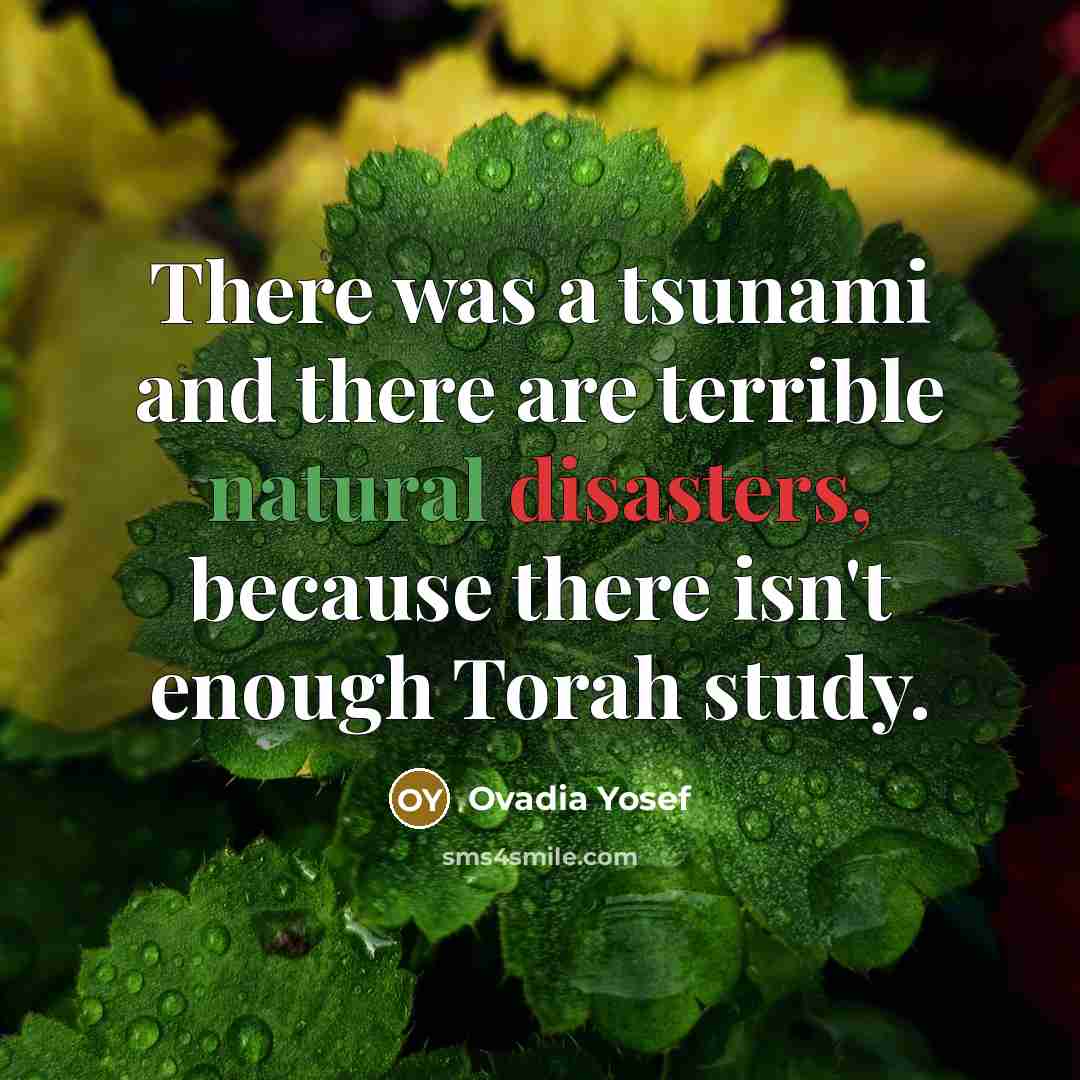 “There was a tsunami and there are terrible natural disasters, because there isn't enough Torah study.” quote by Ovadia Yosef