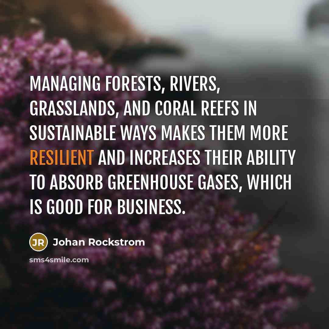 “Managing forests, rivers, grasslands, and coral reefs in sustainable ways makes them more resilient and increases their ability to absorb greenhouse gases, which is good for business.” quote by Johan Rockstrom