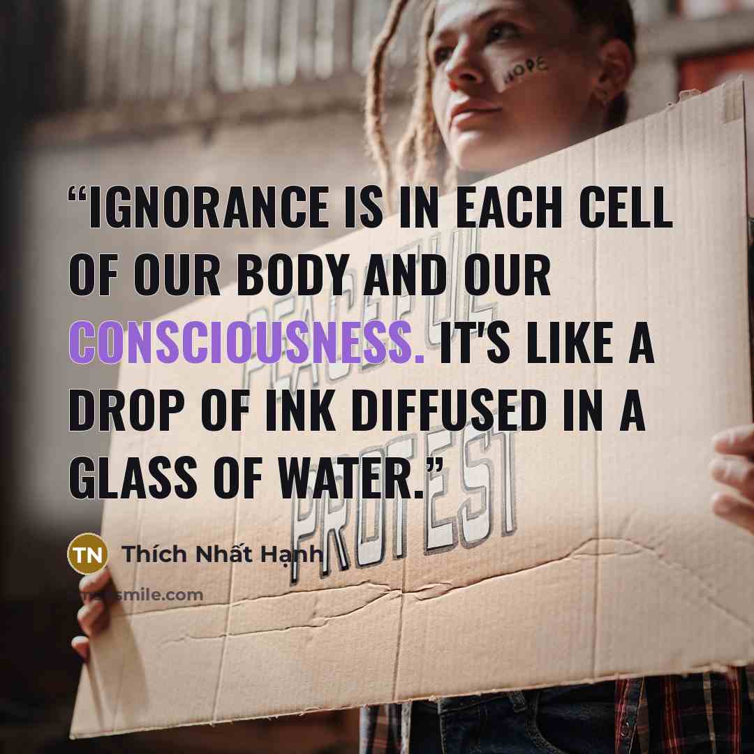 “Ignorance is in each cell of our body and our consciousness. It's like a drop of ink diffused in a glass of water.” quote by Thich Nhat Hanh