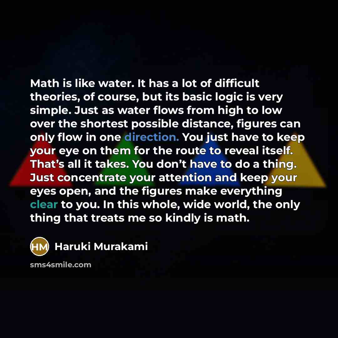 “Math is like water. It has a lot of difficult theories, of course, but its basic logic is very simple. Just as water flows from high to low over the shortest possible distance, figures can only flow in one direction. You just have to keep your eye on them for the route to reveal itself. That’s all…” quote by Haruki Murakami