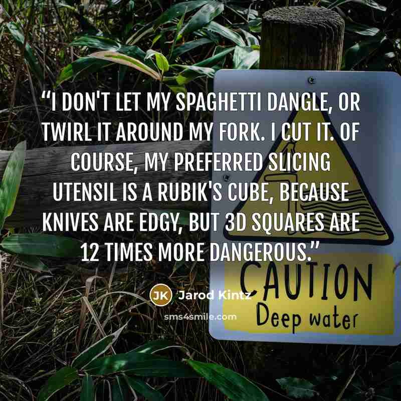 “I don't let my spaghetti dangle, or twirl it around my fork. I cut it. Of course, my preferred slicing utensil is a Rubik's Cube, because knives are edgy, but 3D squares are 12 times more dangerous.” quote by Jarod Kintz