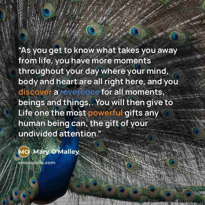 “As you get to know what takes you away from life, you have more moments throughout your day where your mind, body and heart are all right here, and you discover a reverence for all moments, beings and things,. You will then give to Life one the most powerful gifts any human being can, the gift of…” quote by Mary O'Malley