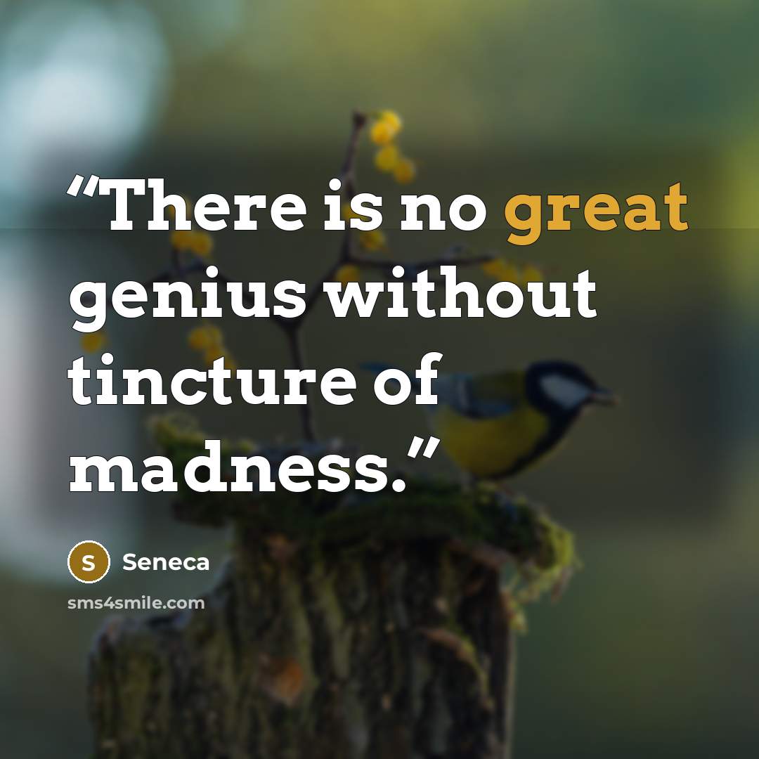 “There is no great genius without tincture of madness.” quote by Seneca