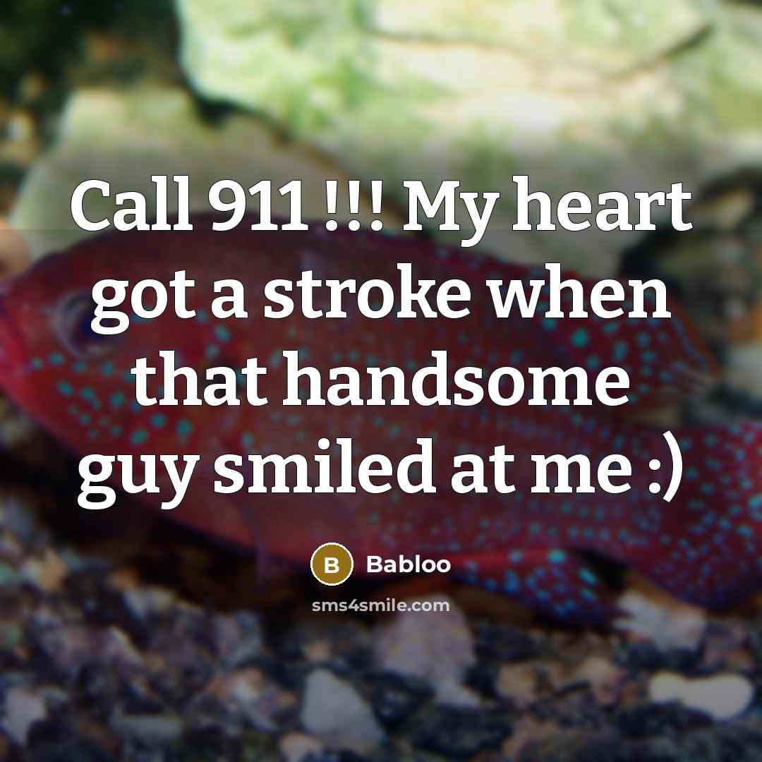 “Call 911 !!! My heart got a stroke when that handsome guy smiled at me :)” quote by Babloo