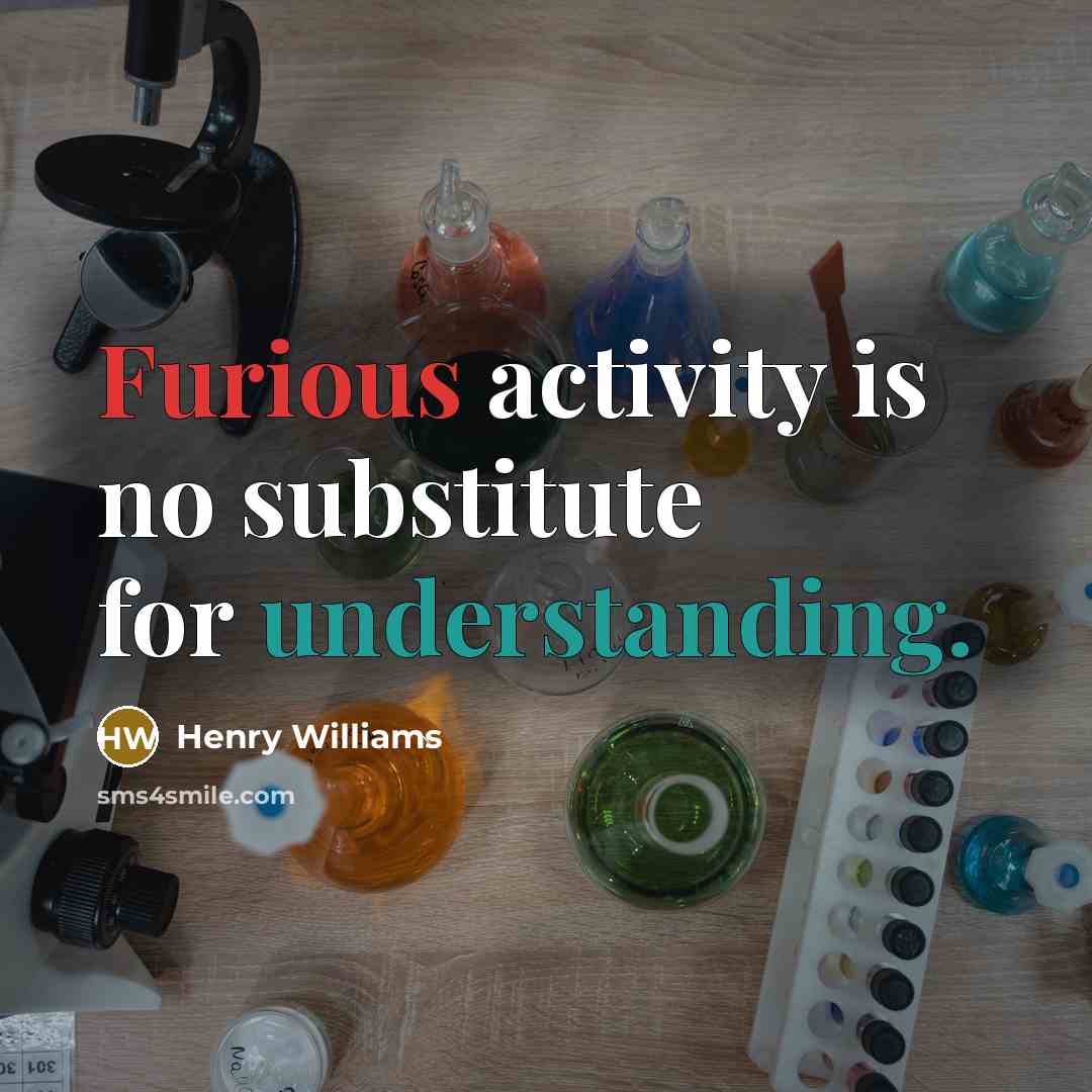 “Furious activity is no substitute for understanding.” quote by Henry Williams