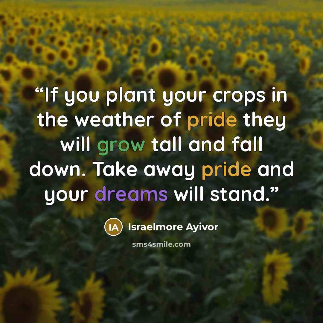 “If you plant your crops in the weather of pride they will grow tall and fall down. Take away pride and your dreams will stand.” quote by Israelmore Ayivor