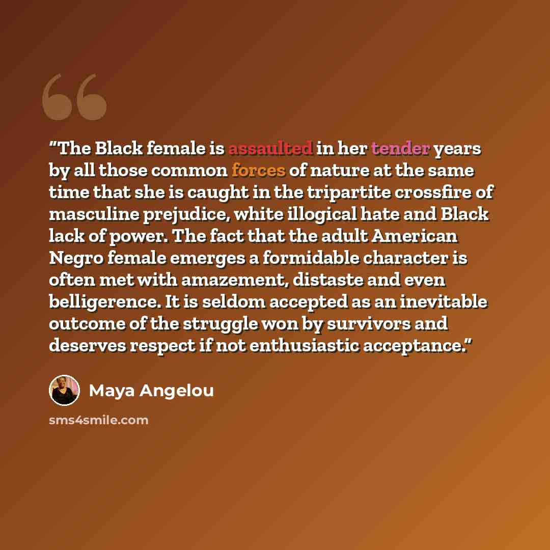 “The Black female is assaulted in her tender years by all those common forces of nature at the same time that she is caught in the tripartite crossfire of masculine prejudice, white illogical hate and Black lack of power. The fact that the adult American Negro female emerges a formidable character…” quote by Maya Angelou