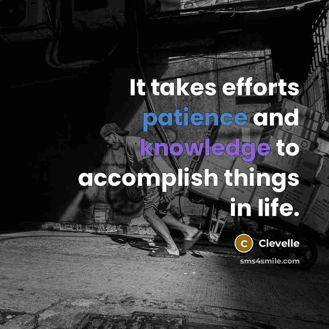 “It takes efforts patience and knowledge to accomplish things in life.” quote by Clevelle