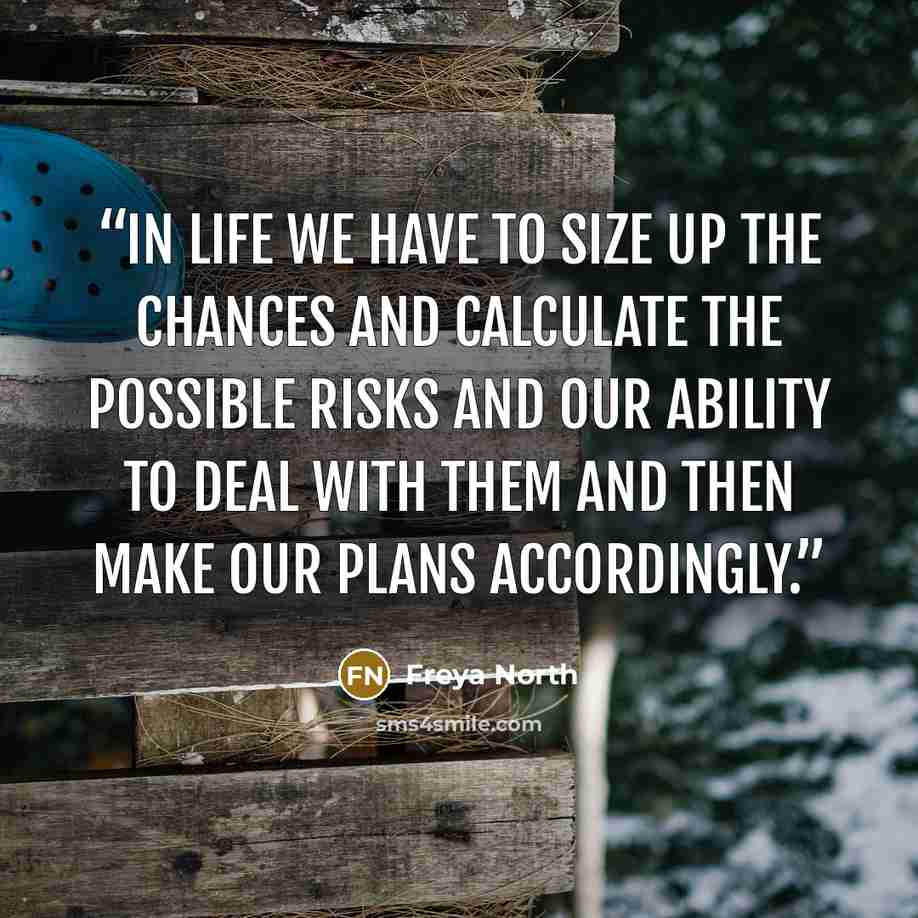 “In life we have to size up the chances and calculate the possible risks and our ability to deal with them and then make our plans accordingly.” quote by Freya North