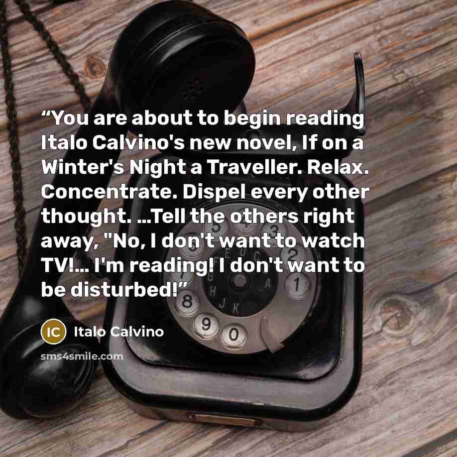 “You are about to begin reading Italo Calvino's new novel, If on a Winter's Night a Traveller. Relax. Concentrate. Dispel every other thought. …Tell the others right away, "No, I don't want to watch TV!… I'm reading! I don't want to be disturbed!” quote by Italo Calvino
