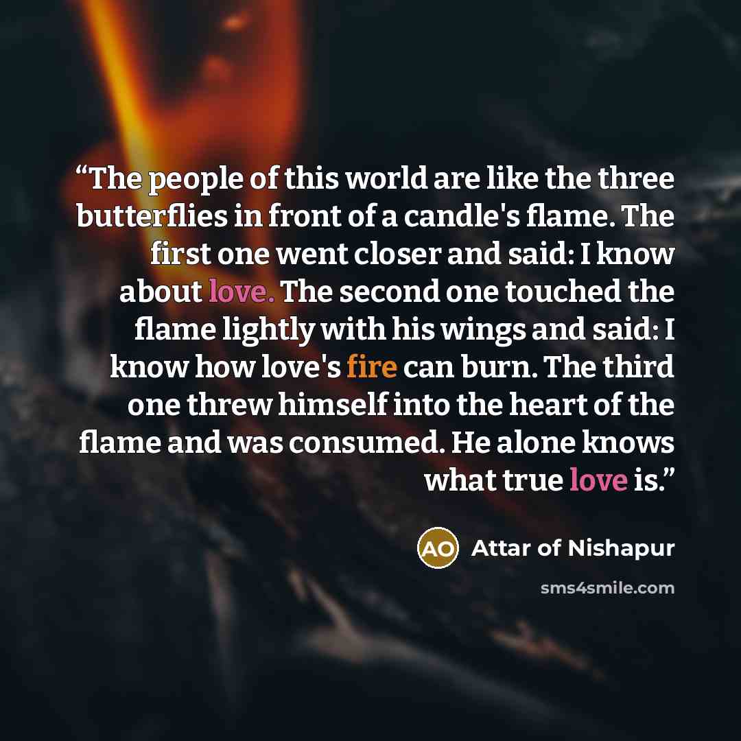 “The people of this world are like the three butterflies in front of a candle's flame. The first one went closer and said: I know about love. The second one touched the flame lightly with his wings and said: I know how love's fire can burn. The third one threw himself into the heart of the flame…” quote by Attar of Nishapur