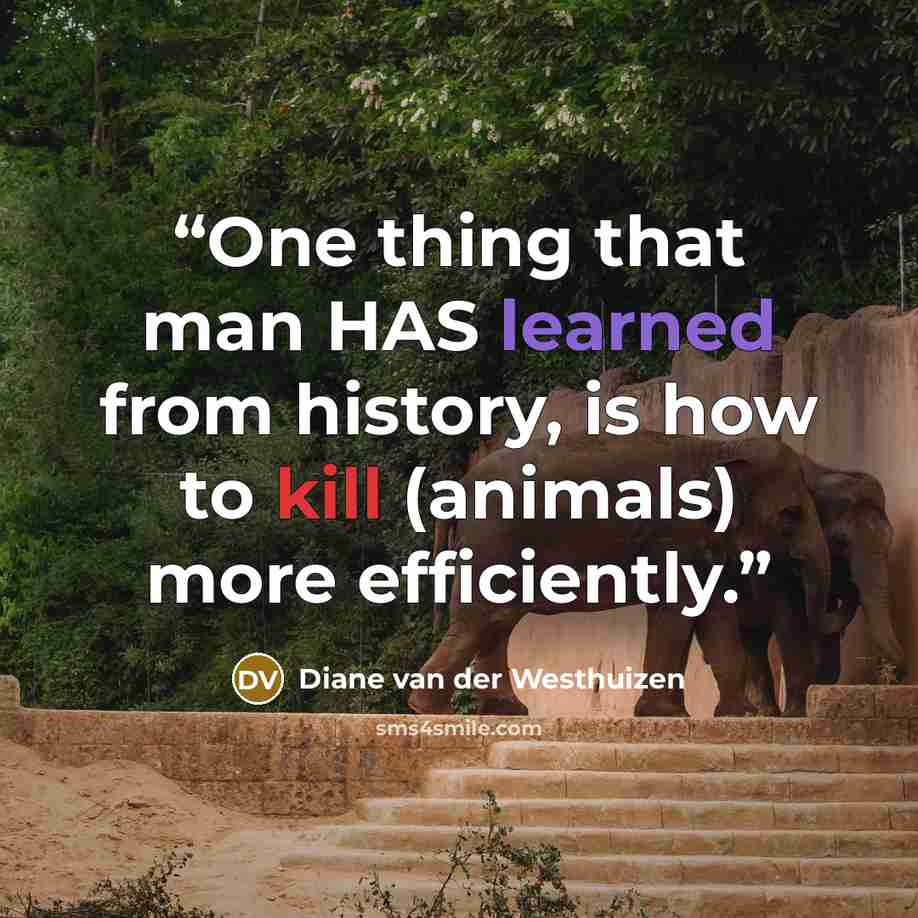 “One thing that man HAS learned from history, is how to kill (animals) more efficiently.” quote by Diane van der Westhuizen
