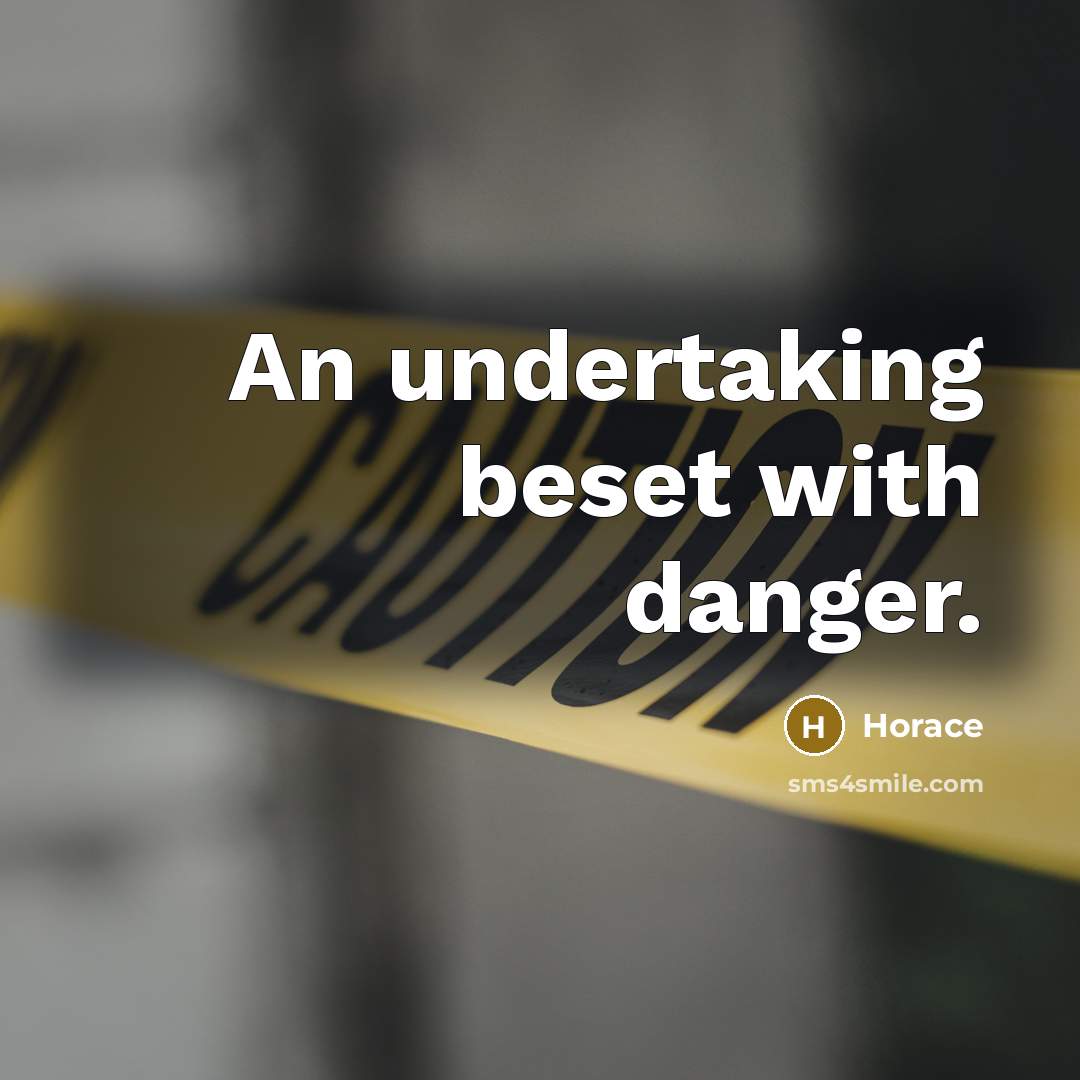 “An undertaking beset with danger.” quote by Horace